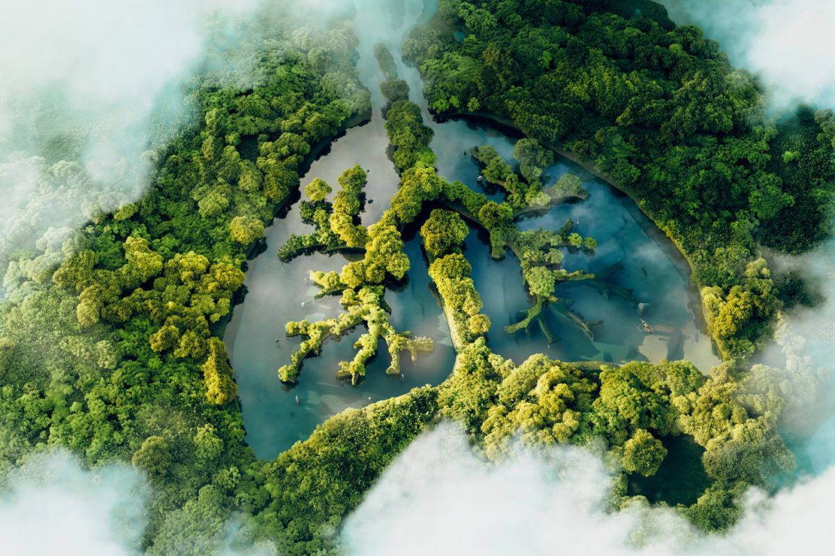 conceptual image showing lung shaped lake lush pristine jungle 3d rendering Buyuk.jpg